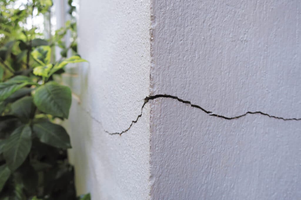 Pest Entry Points